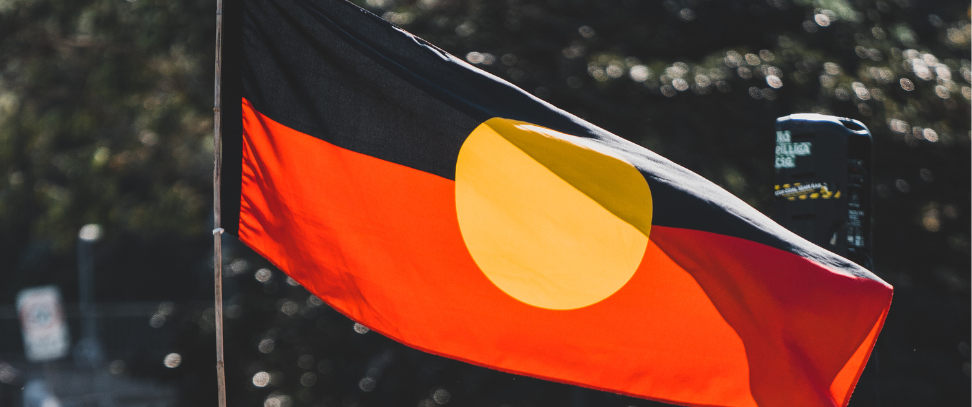 Featured image for “State budget falls short for Aboriginal women experiencing family violence”
