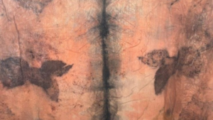 Close-up of a dyed material